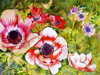 Anemones