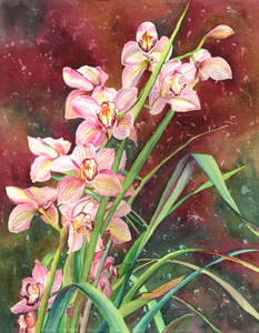 Orchid