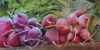 Beets